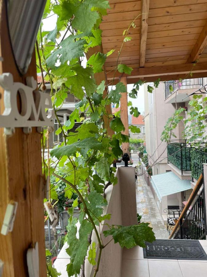 Hotel Rodos House Pomorie Exteriér fotografie